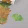 Adhesive tape paper "Ginkgo leaves" 50 pictures 3.5x3.5x3.7 cm