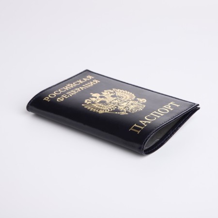 Cover for passport, blue color-2