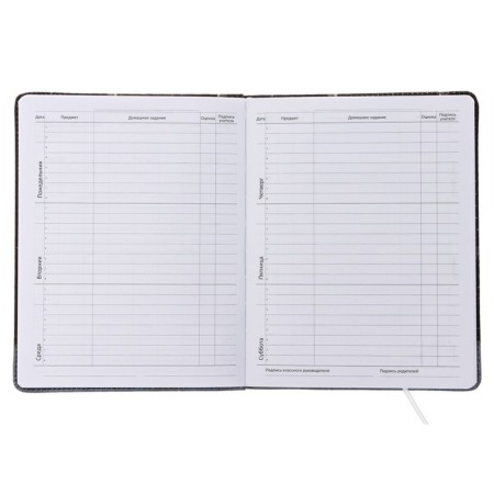 Universal Diary of OOPS 1-11 grade!, Hard cover with foam rubber, artificial leather, lies, block 80 g/m2-4