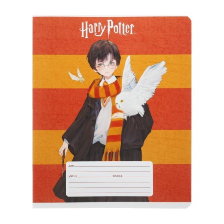 Notebook of 12 sheets in the Harry Potter line, covered cardboard, an offset block 65g/m2, 5v mix-6