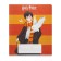 Notebook of 12 sheets in the Harry Potter line, covered cardboard, an offset block 65g/m2, 5v mix