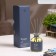 Diffusor aromatic hygge #7 grapes muscat 100 ml