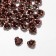 Busina "Rose", set of 50 pcs., 6 mm, brown color