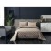 A set with a bedspread "Frederick No. 3", size 240x260 cm, 50x70 cm - 2 pcs