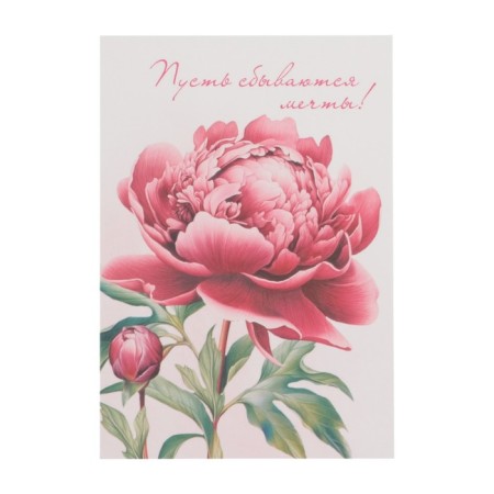 Set of mini-postcard "Flowers" 7.6 x 10.6 cm-6