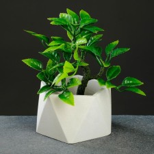 Kashpo pentagon 9 x 6 cm white