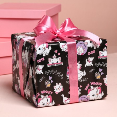 Package paper, cats aristocrats, 70x100 cm-6