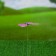 STETER "Butter's butterfly" 5x7cm/25cm, mix