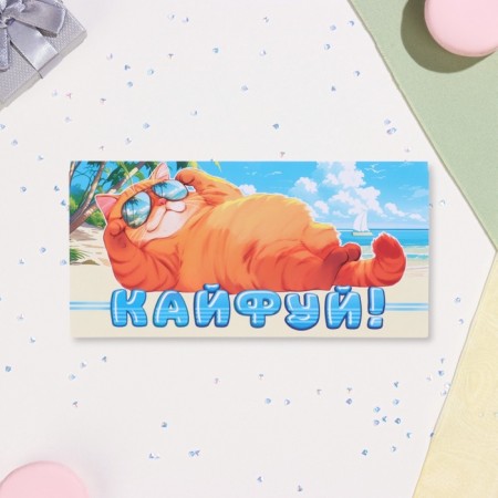 Конверт для денег "Кайфуй!" кот, 17 х 8 см-1