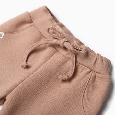 Costume: sweatshirt and pants crumb I, Basic Line, height 86-92 cm, brown color-4