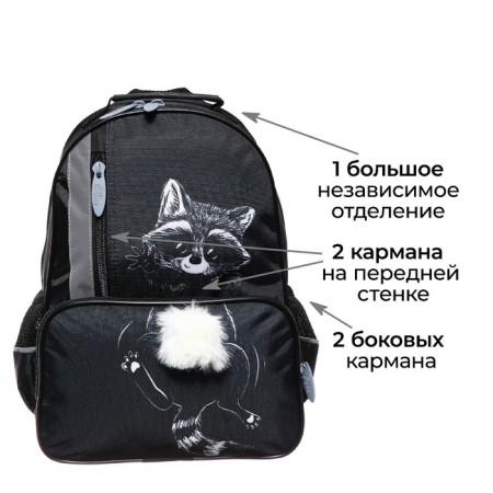 School backpack, 37 x 26 x 13 cm, ergonomic back, calligrata ORT "Rucot"-2