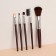 A set of makeup brushes, 5 objects, dark brown color