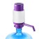 Dolphin pump pump for eco, mechanical, under a bottle of 12 to 19 l, purple