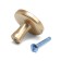 Cappio, RK103, D = 33 mm, plastic, matte gold,
