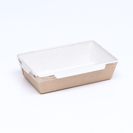 Container with a flat lid, craft, 0.8 l, 19 x 13 x 5.5 cm-3