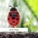 Soil meter 3 in 1: for humidity, acidity, illumination, “ladybug”