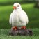 Garden figure "pigeon" 19x10x14cm
