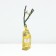 Seedling rose spray "fire flash", tube, 1 pc, spring 2025