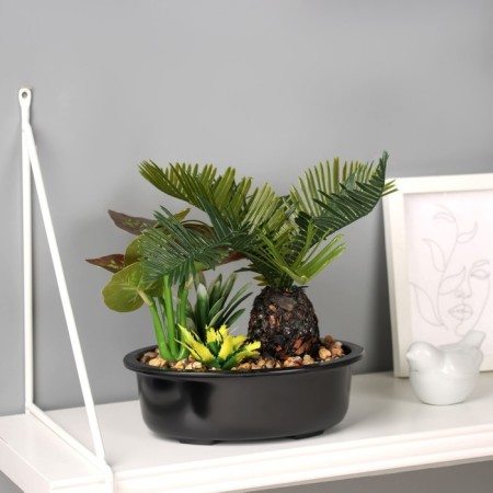 Bonsai in the Pokorti Premium pot 19x17 cm