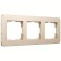 Frame W0032611, 3 Platinum sockets, champagne