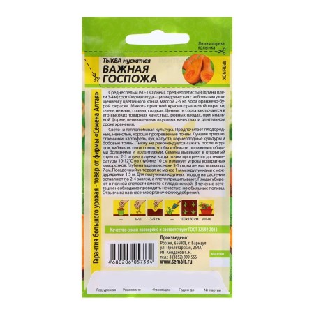 Seeds of pumpkin "Important Lady", 1 gr.-1