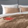 Software "Soft": a cover of 250 x 270 cm, pillowcase 40 x 60 cm - 2 pcs, the color is dark - beige