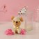 Gift set "white" soap roses 5 pcs, dew 7x7x12 cm