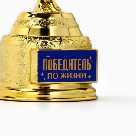 Cup The Award Figure “Winner in Life”, Oscar, Plastic, 18 x 6.3 cm.-4
