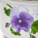 Poster "Anyutin Eyes", 3 l, with a lid, induction