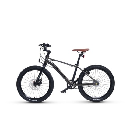 Bicycle 20 ’’ maxiscoo 7bike m700, graphite color-2