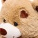 Soft toy "Bear Tony" Coffee, 90 cm