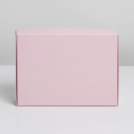 Gift folding box, packaging, "pink", 21 x 15 x 5 cm-2