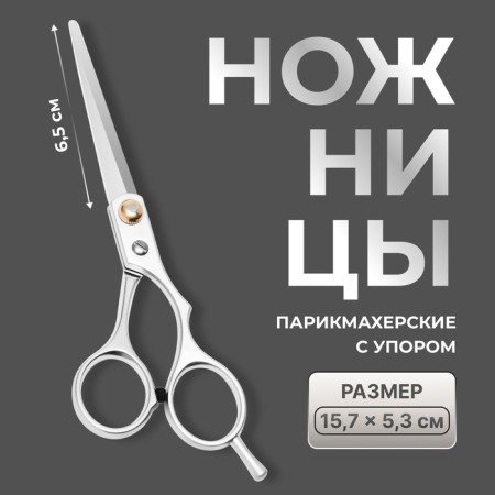 Hairdressing scissors with emphasis, blade - 6.5 cm, silver color