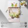 Bracelets "Demetrons" woven, pear without a bone, color, 8 cm