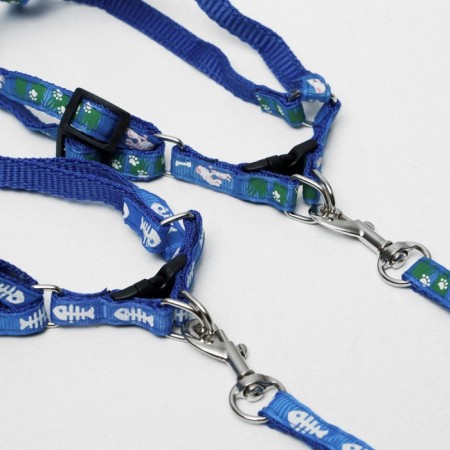 Set "Color Transes", leash 120 x 1 cm, fire 23-35 cm, blue-13