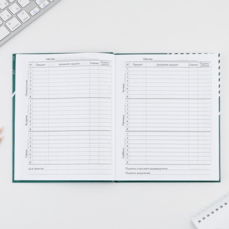School Diary 5-11 Grade "September 1: sneakers", solid cover 7BC, glossy lamination, 48 sheets-5
