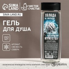 The shower gel “cold is not an obstacle”, 250 ml, the aroma of freshness of the north, pure happiness