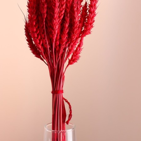 Set of dried flowers "wheat", banch 35-40 pcs, length 50-60 (+/- 6 cm), red-1