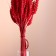Set of dried flowers "wheat", banch 35-40 pcs, length 50-60 (+/- 6 cm), red