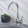 Kitchen mixer "RMS" SL134-017F, single-leaf, cartridge 35 mm, brass, chrome