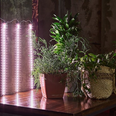 Lamp for plants LED linear, 600 mm Uniel, 90 W, LED, IP65, Color transparent