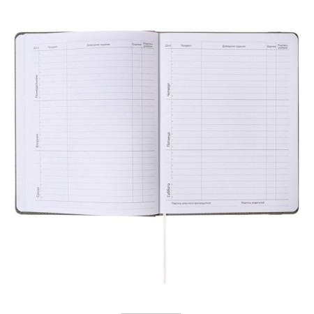 Universal diary for grades 1-11, hard cover, artificial leather, elastic band, lies, tinted block, 48 sheets-14