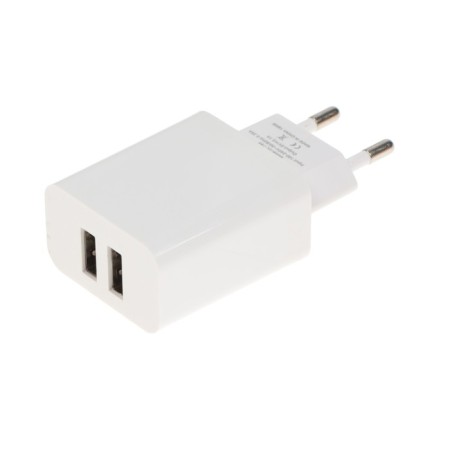 Network charger BYZ B35, 2 USB, 2.1 A, Microusb 1 m, white cable-5