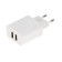 Network charger BYZ B35, 2 USB, 2.1 A, Microusb 1 m, white cable