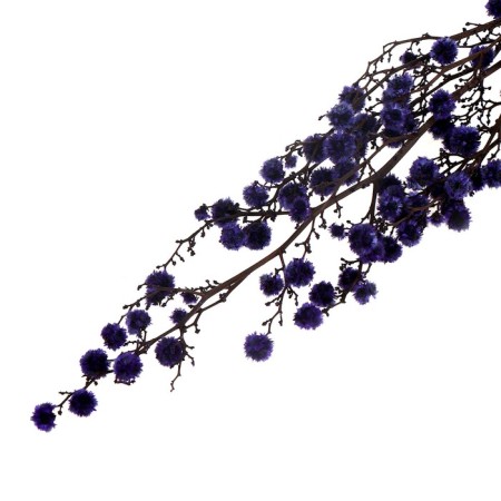 Dry flowers “Molokhay Mile”, 25 g, length - 70 cm, purple color-4