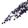 Dry flowers “Molokhay Mile”, 25 g, length - 70 cm, purple color