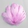 A set of feathers of the goose 13-18 cm, 20 pcs, light lilac
