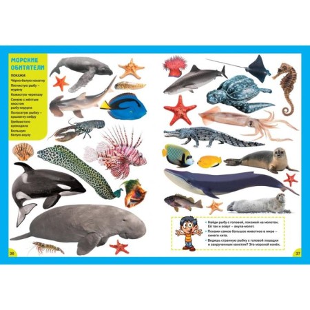 Animals. For children from 3 to 6 years old-5