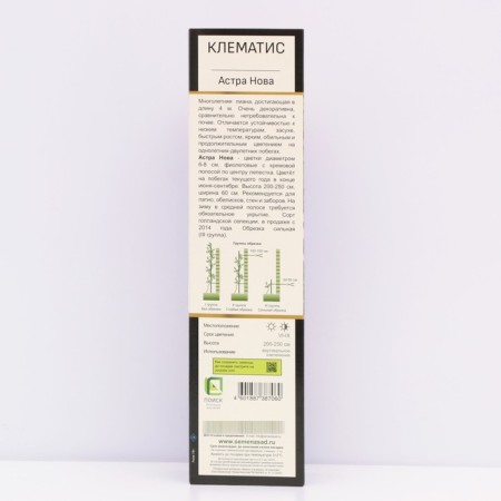 Clematis botanical suite "Astra Nova", tube, 1 pc, spring 2024-1
