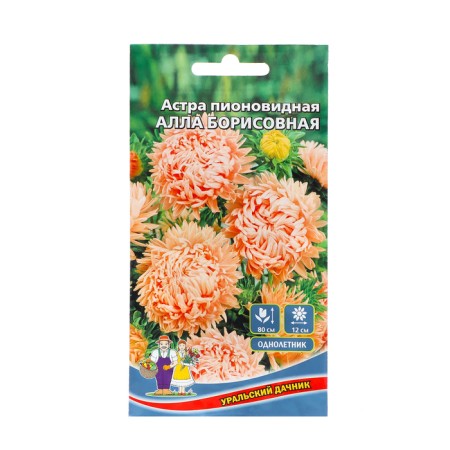 Flowers Astra Pionovid "Alla Borisovna", 0, 2 g,